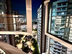 Blk 356B Anchorvale Plains (Sengkang), HDB 4 Rooms #453967921